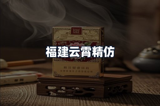 福建云霄精仿